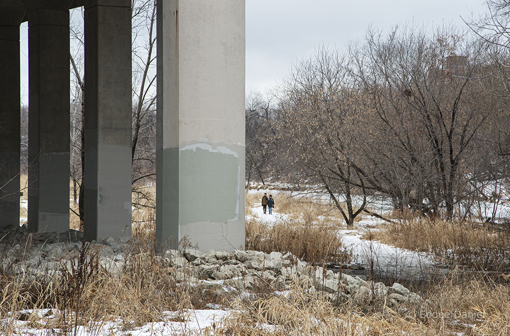 The West Bank Trail at the North Avenue Bridge