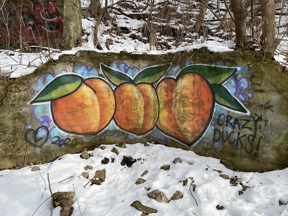 Grafitti adorns crumbling foundations of historical homes that once stood here facing the river