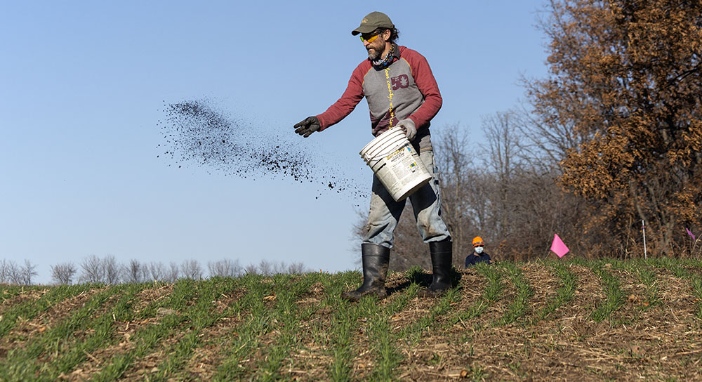 Prairie seeding