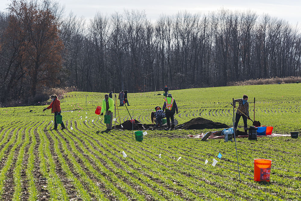 Seeding the reconstructed soil surface.