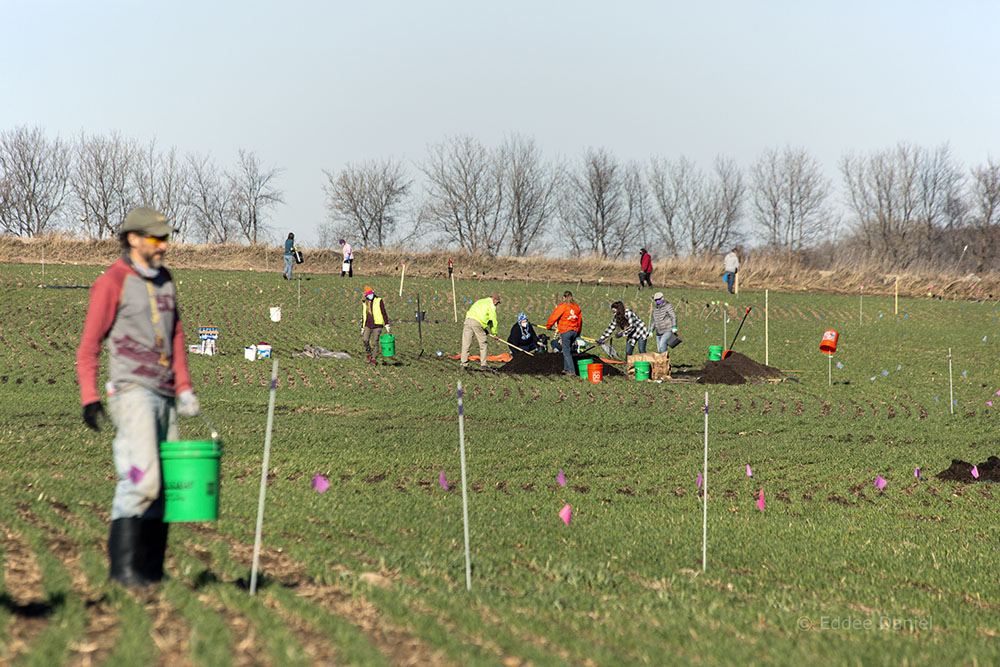 prairie seeding
