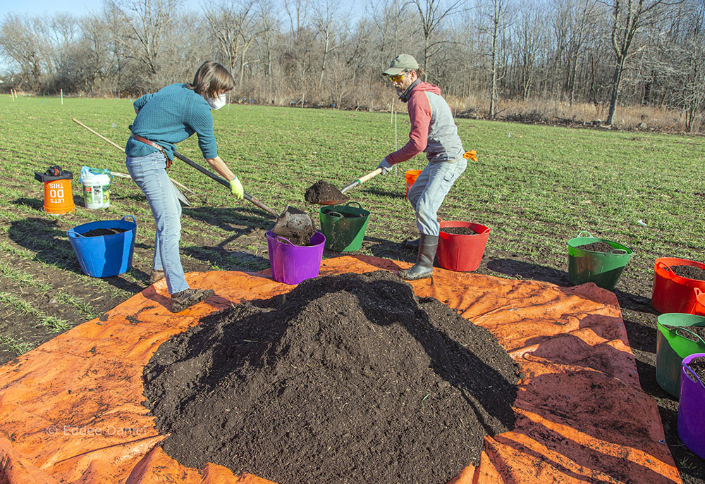 Distributing the seed mix into buckets for planting.