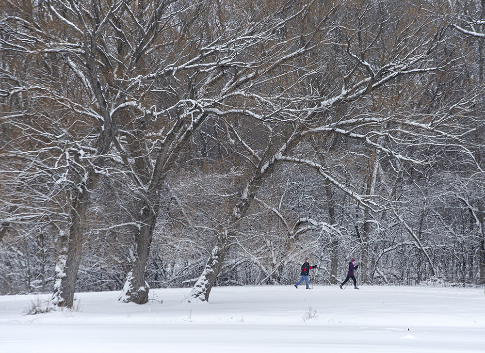 Classic cross-country trail between woodland and park lagoon.