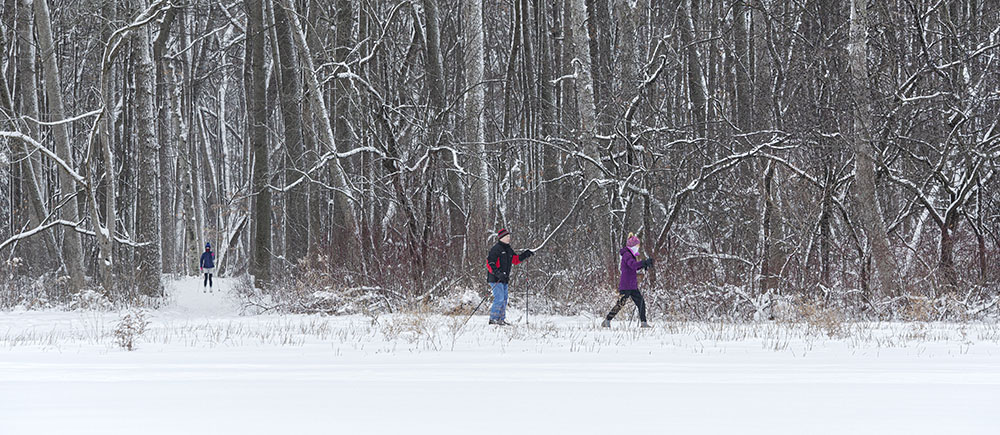 cross-country skiing in Brown Deer Park