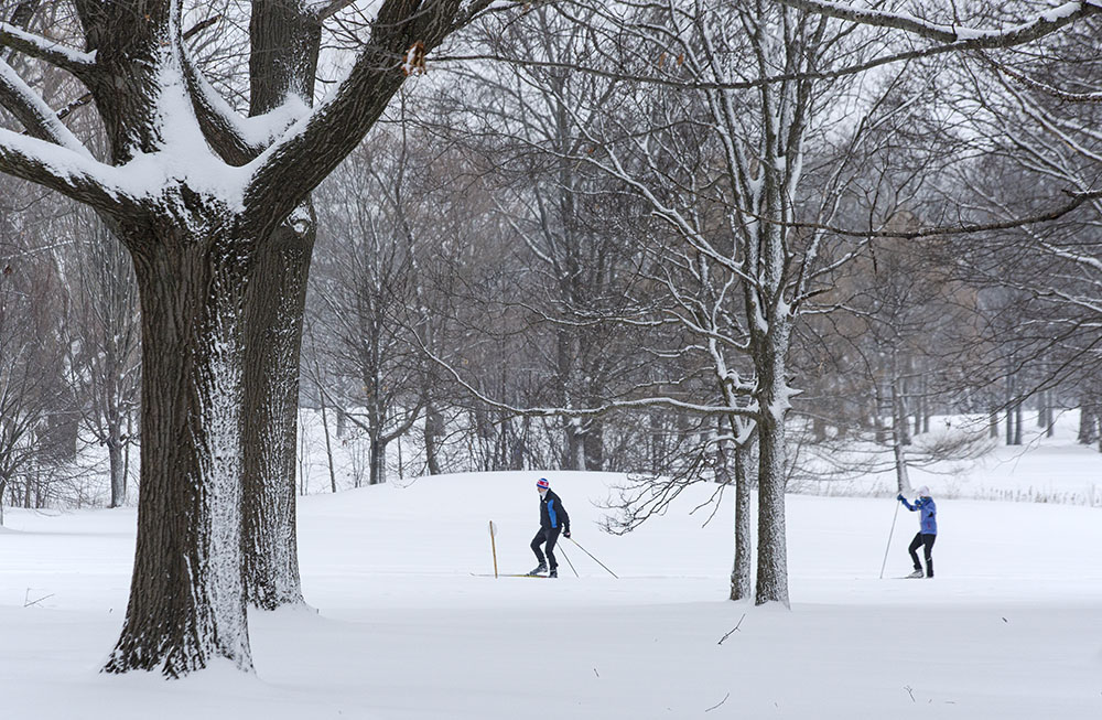 Skate-style skiing trail at Brown Deer Park. 