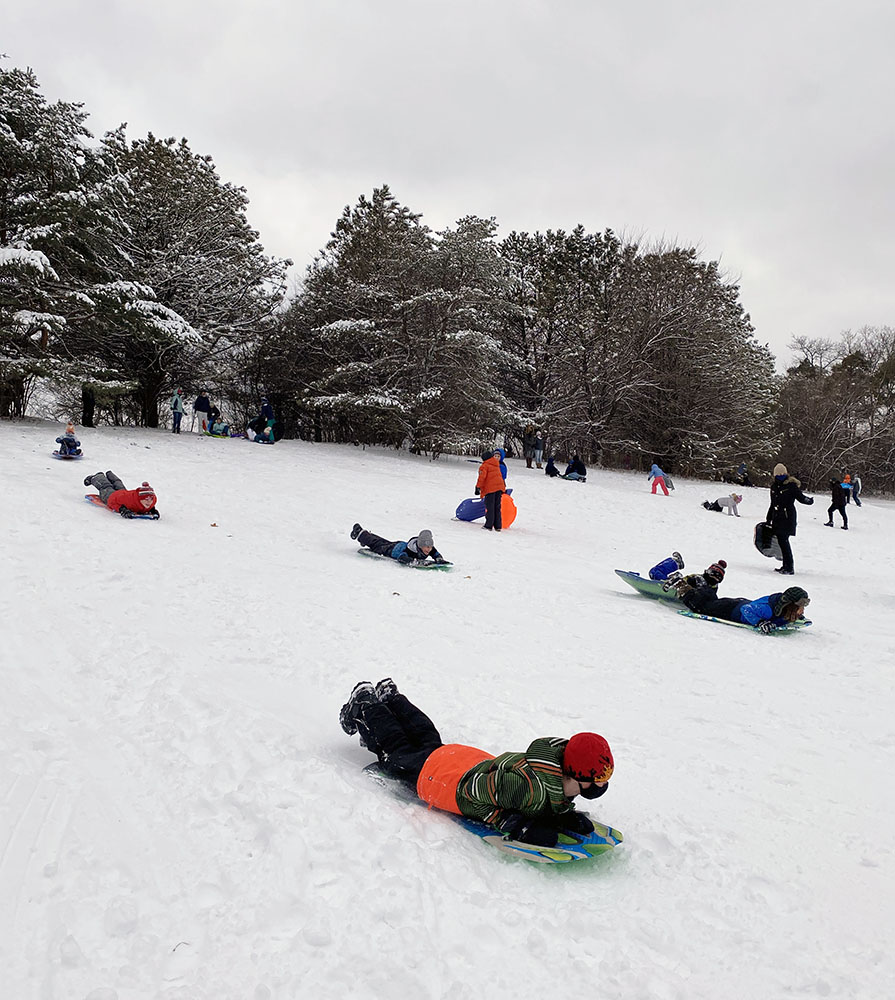 Sledding at Curry Park.