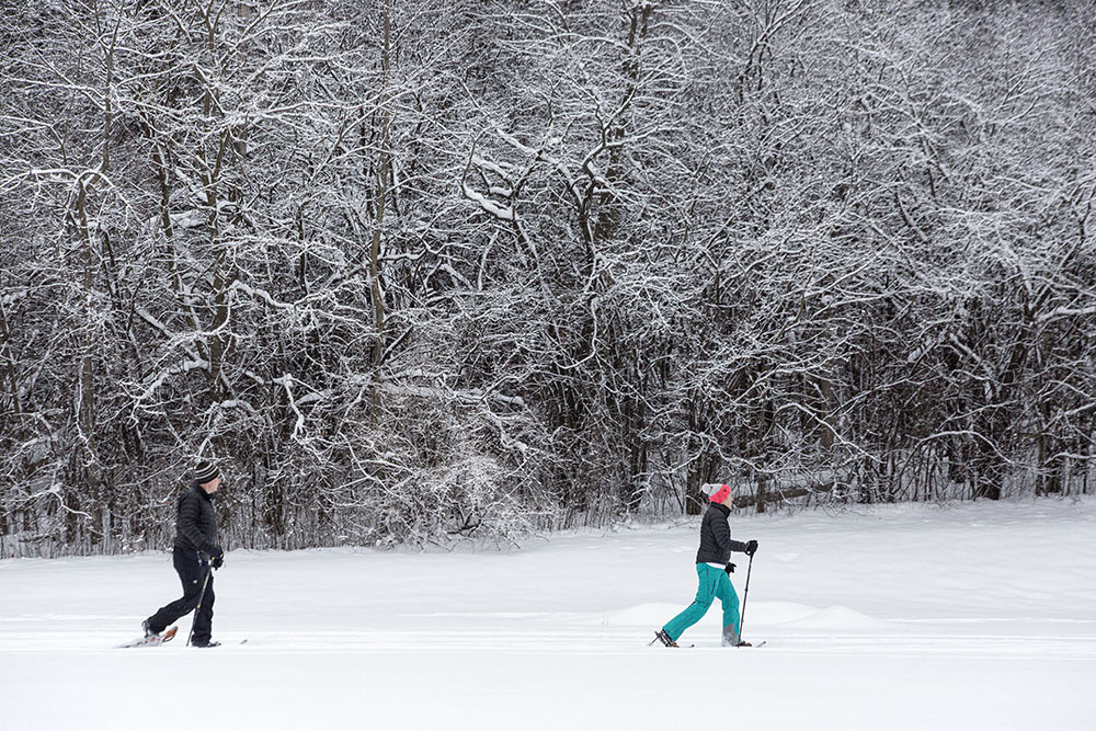 Snowshoeing doesn't look much different than skiing from a distance, but here they are!