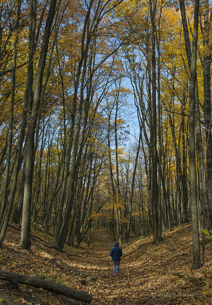 Ice Age National Scenic Trail, Glacial Blue Hills, West Bend