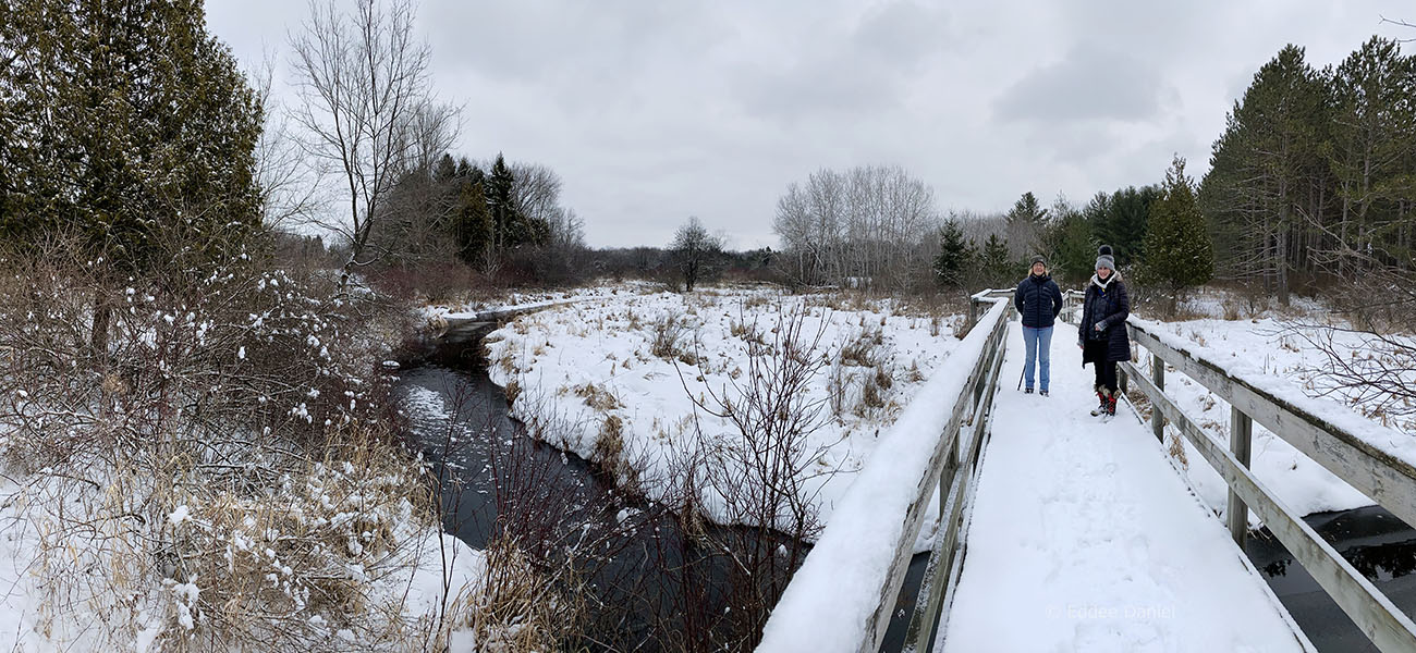 camp quad panorama