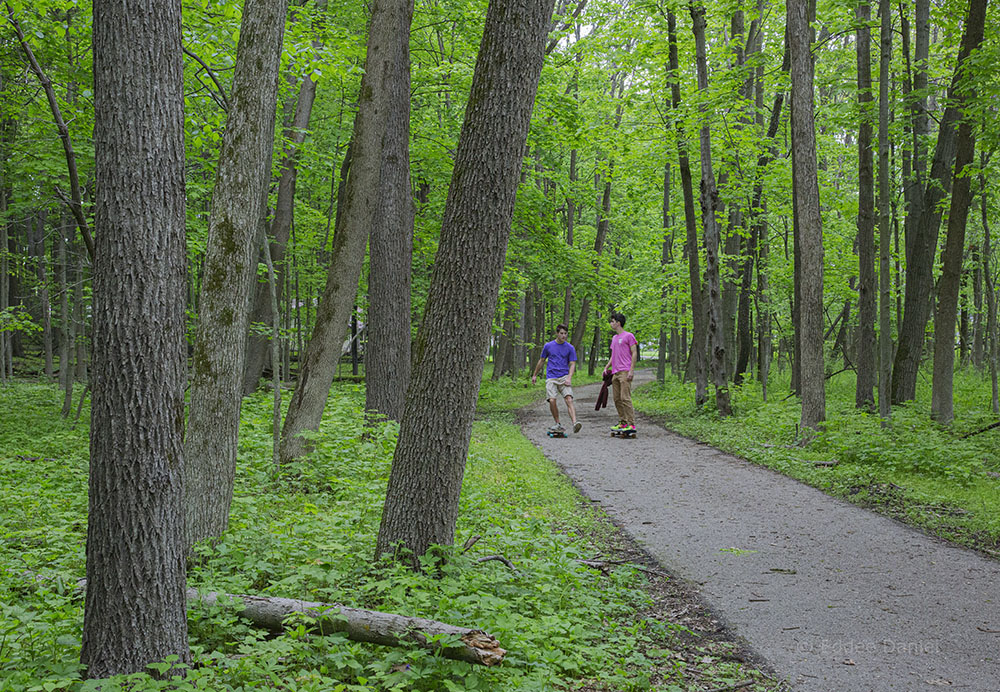 Brookfield Greenway Trail System, Mound Zion Preserve, Brookfield