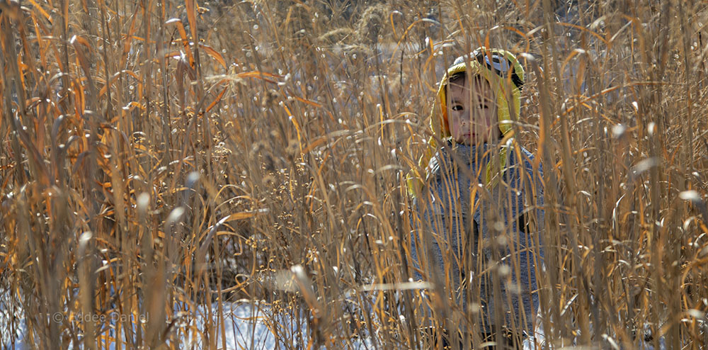 boy in grass