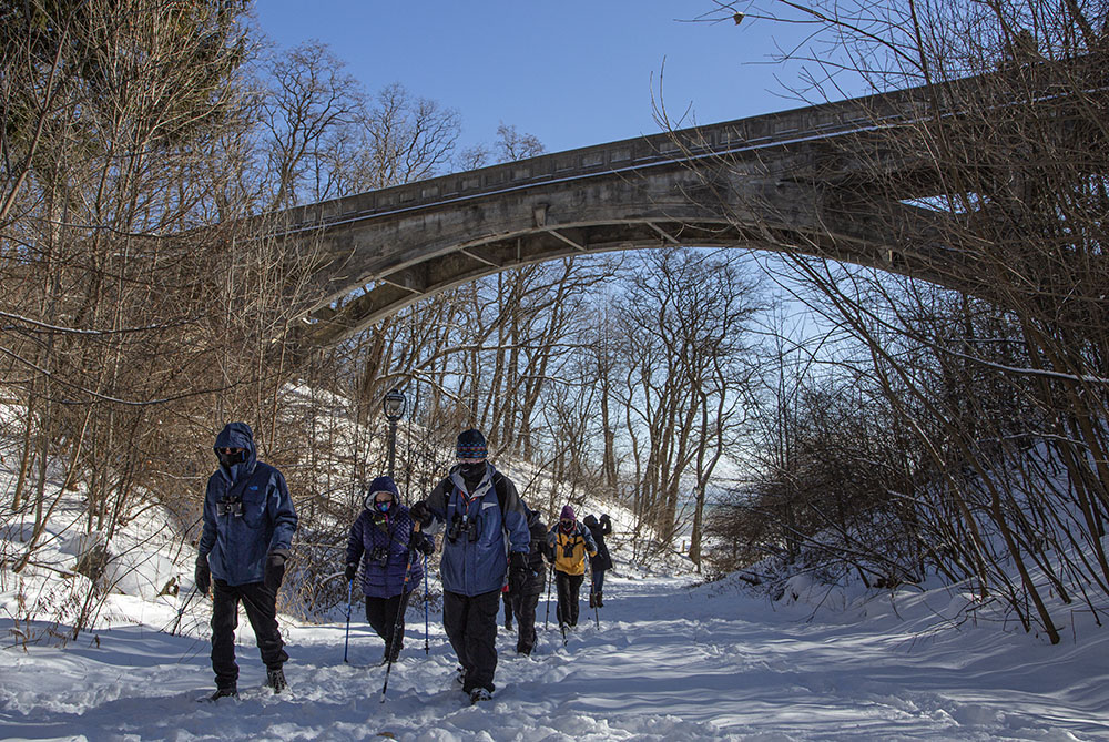 Olmsted-designed Ravine Road has been closed to traffic for years after the historic bridge was found to have deteriorated. Plans to repair it are under consideration.