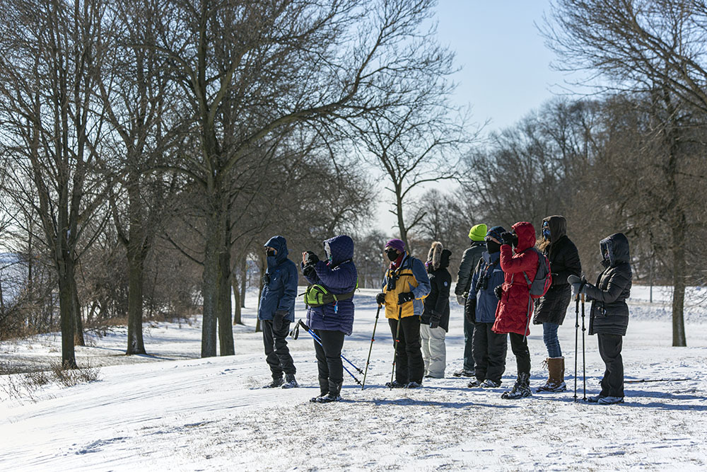 The group watching the water fowl on the lake.