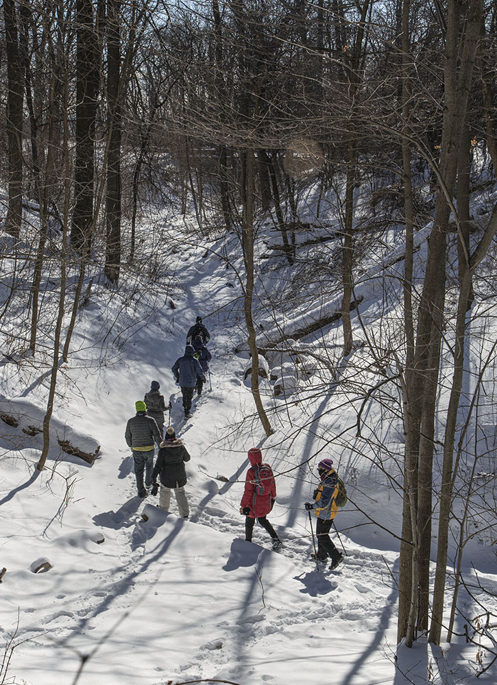 Hiking through the Locust Street Ravine.