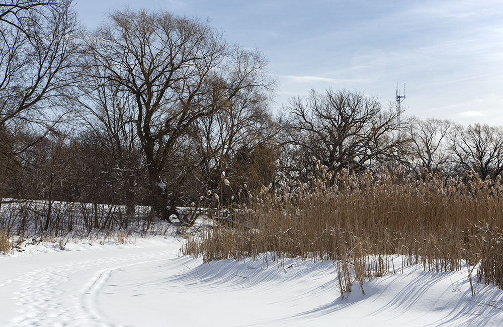 The frozen east loop channel