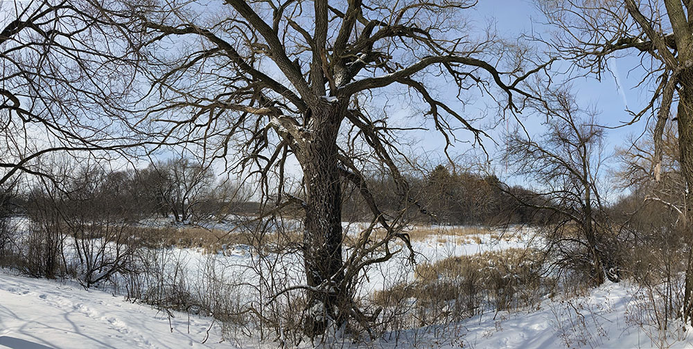 Lincoln Park Wilderness