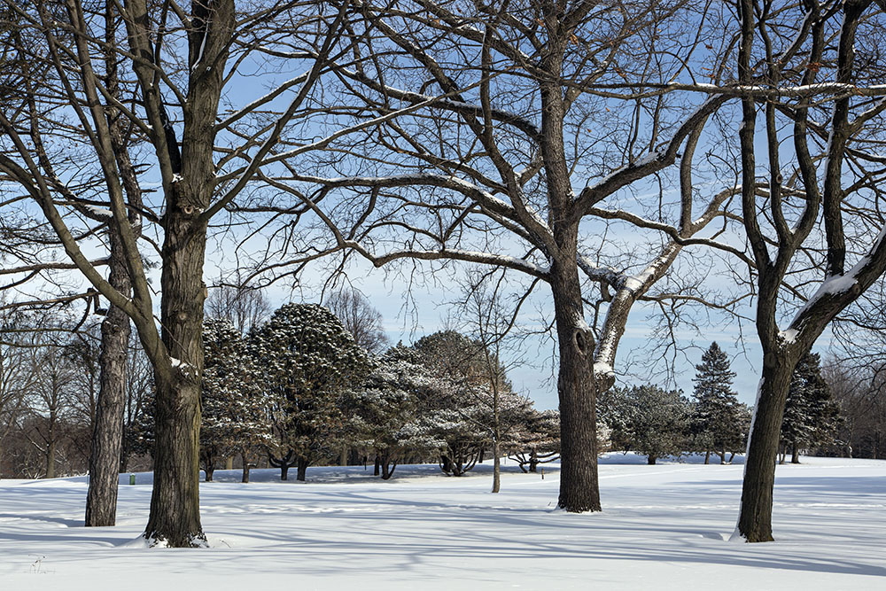 The golf course in winter