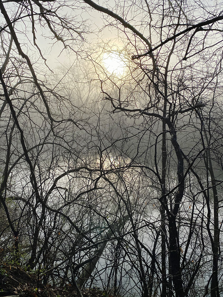 Sunrise through fog.