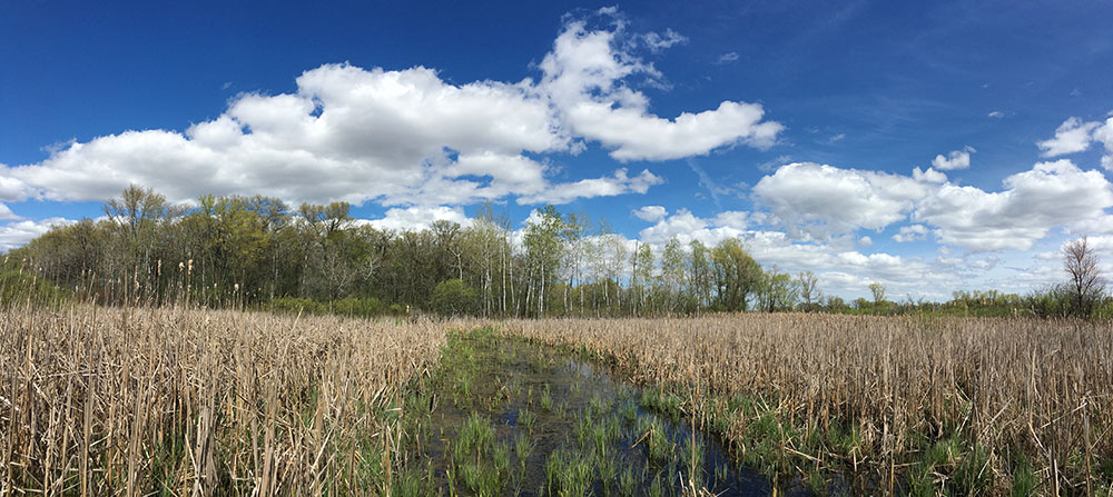 Honey Creek Wildlife Area, Racine County