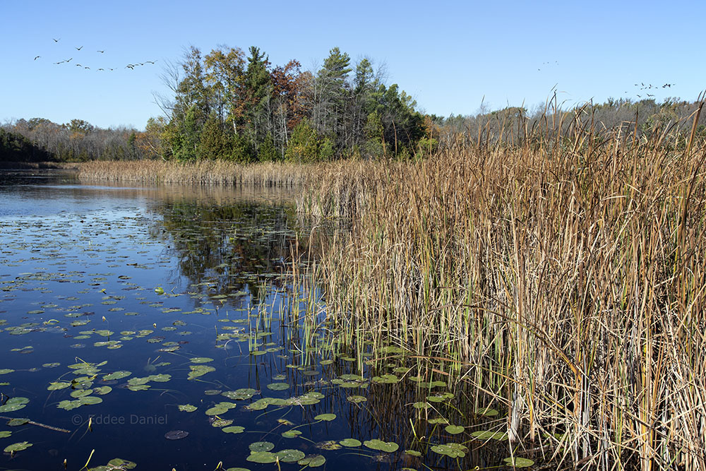 Huiras Lake State Natural Area, Ozaukee County