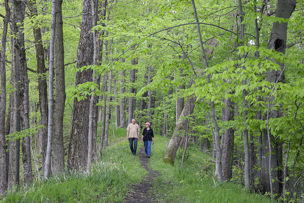 A hike under the canopy on the Esker Trail at Lac Lawrann Conservancy, West Bend.