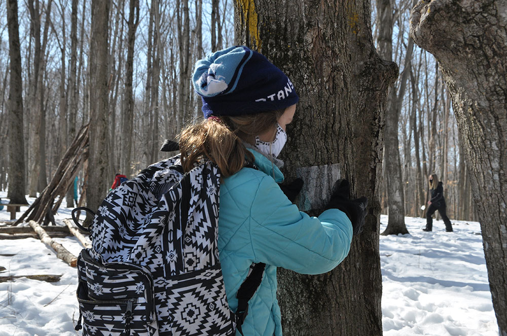 Riveredge School students using photographs to practice tree identification at Riveredge Nature Center. 