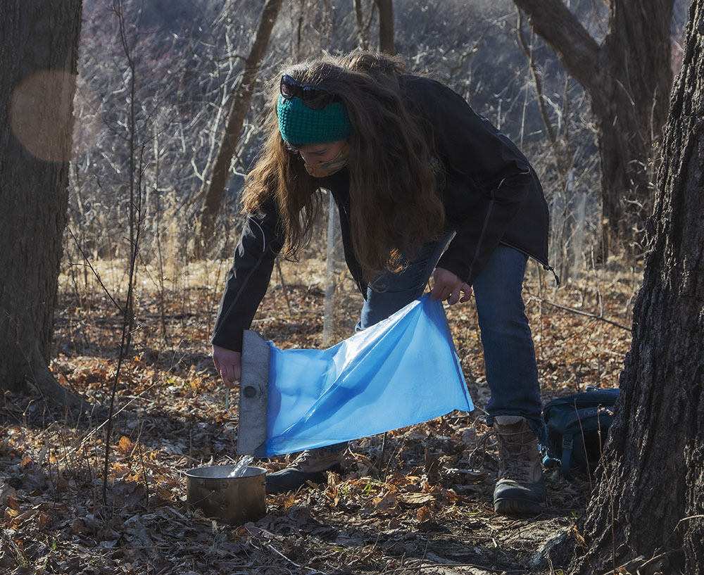 Tory pouring collected sap into sauce pan.