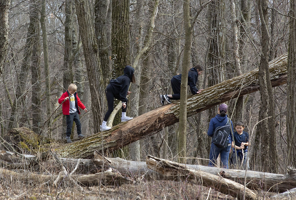 Children find a natural jungle gym at Lapham Peak State Park. 