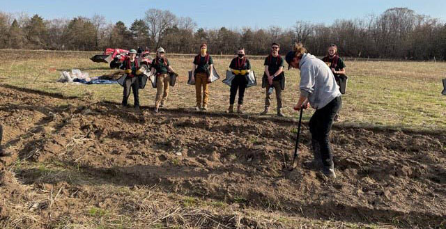 planting trees