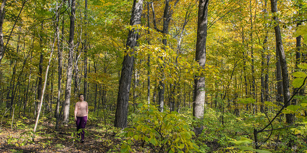 Beth Stoddard at Fitzsimmons Woods