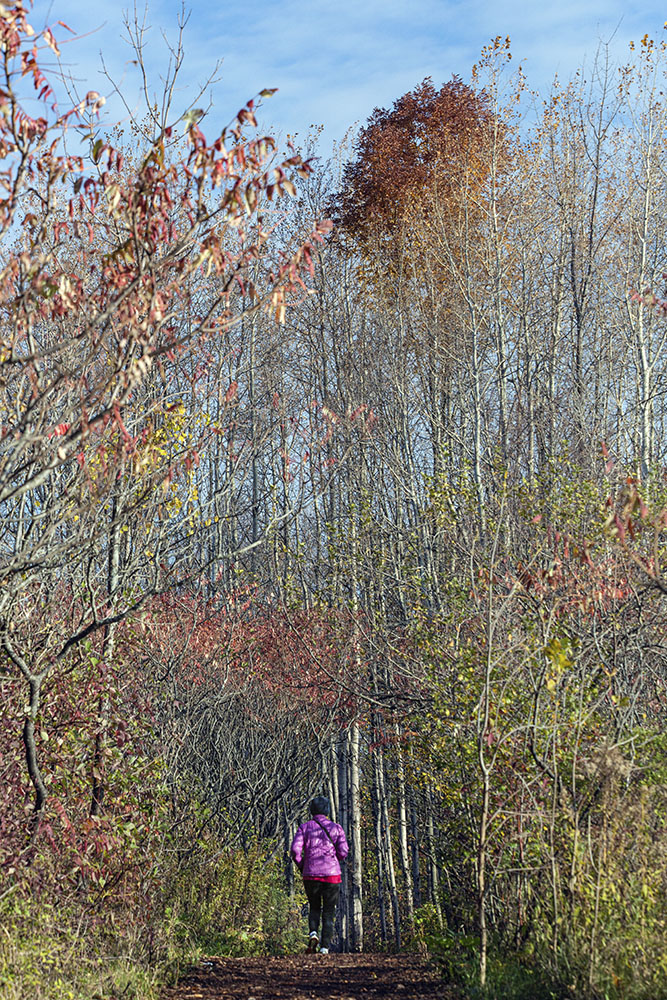 Jogger on bluff trail