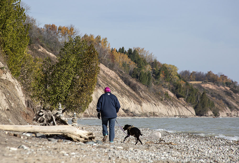 Beach and bluff