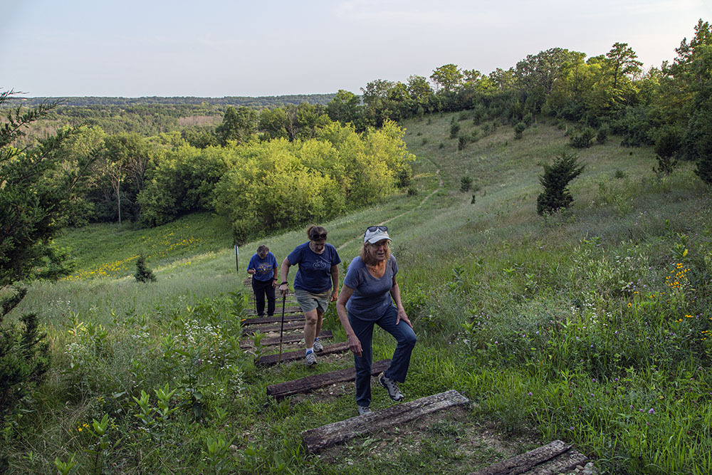 Susan Buchanan and friends climbing to the observation deck.