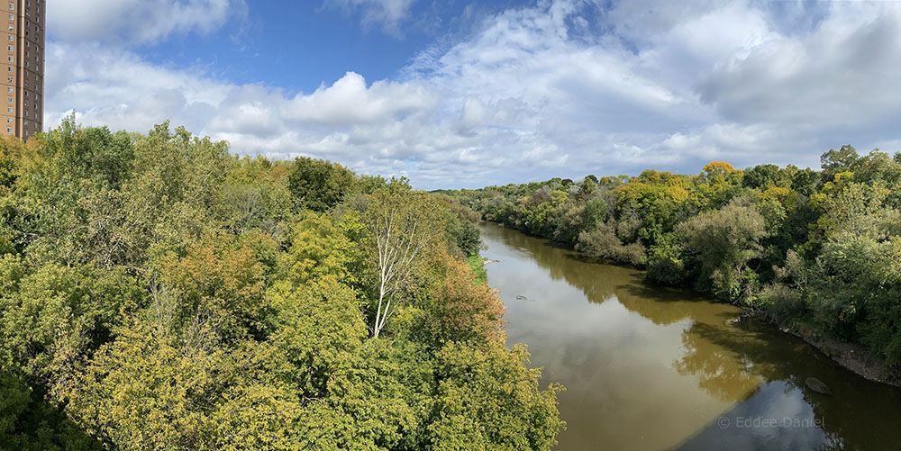 View north from Locust Street bridge of the Greenway.