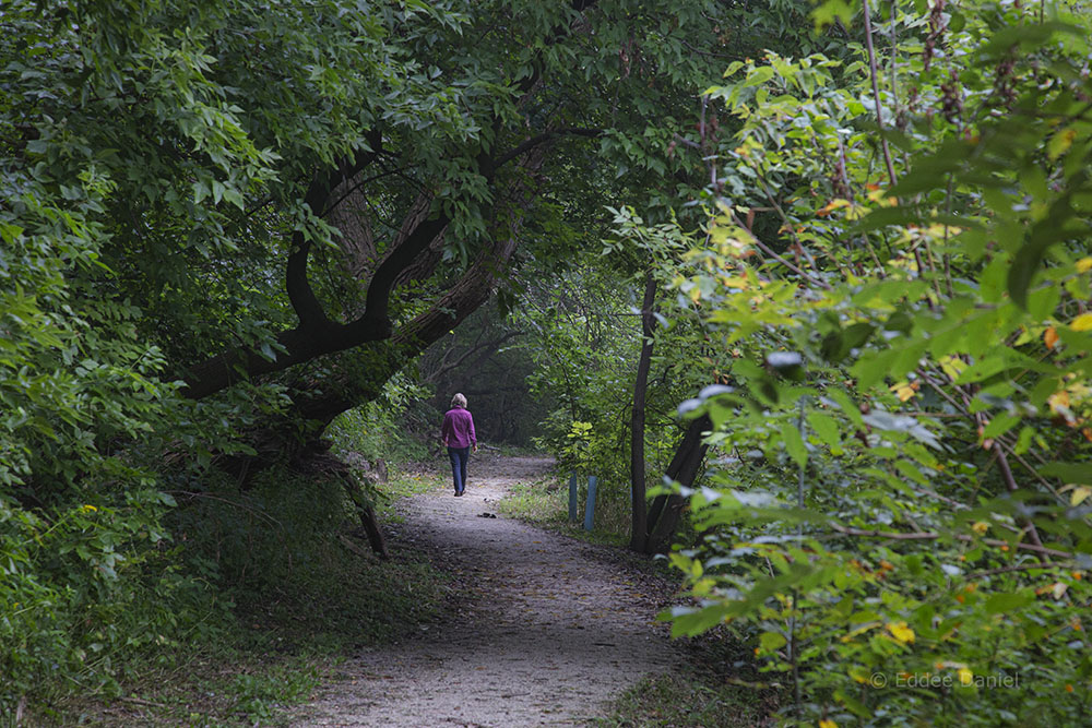 A moment of solitude on the East Bank Trail, which extends from one end of the Greenway to the other.