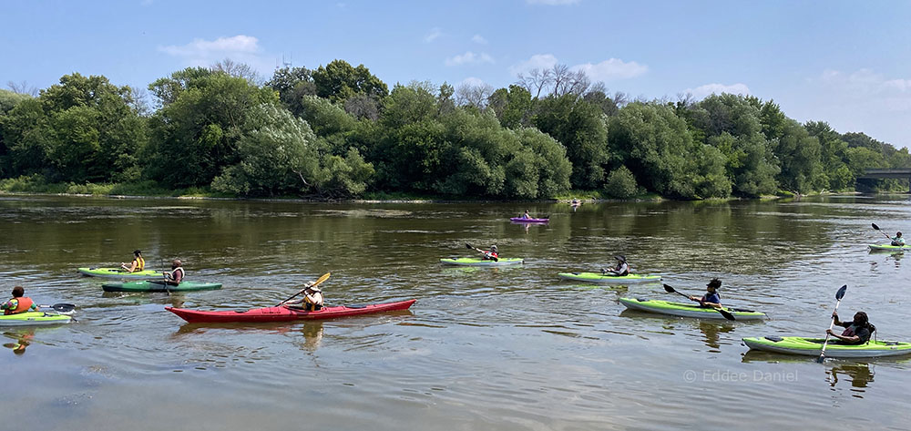 A fleet of kayaks in Lincoln Park