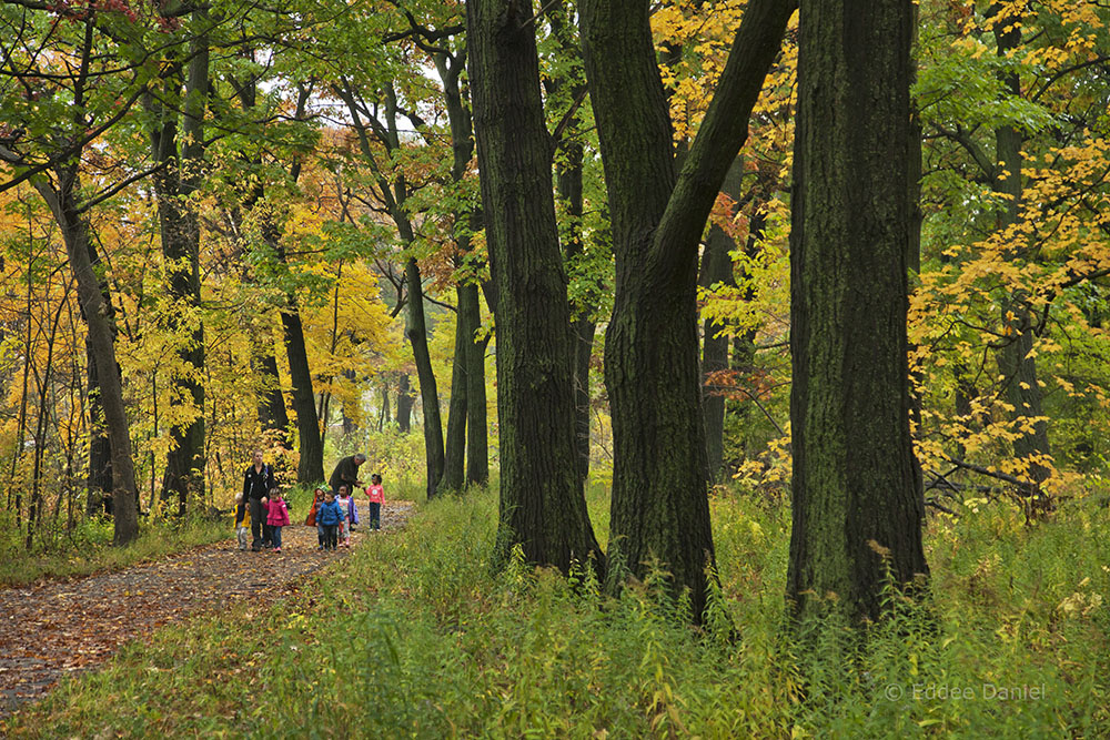 A group of schoolchildren on an outing in Riverside Park led by the Urban Ecology Center. 