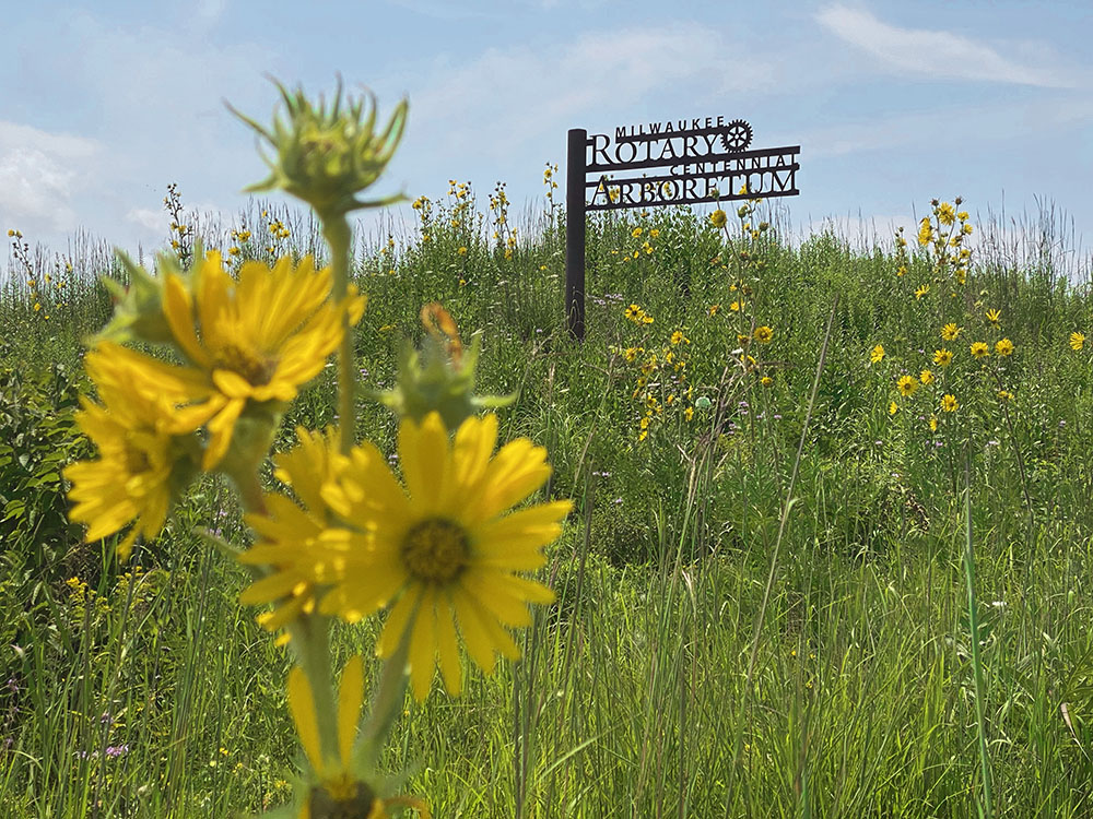 Two of my guided hikes began here at the Milwaukee Rotary Centennial Arboretum.