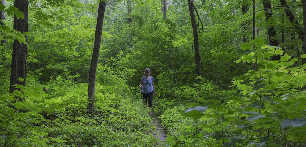 Stigler Nature Preserve in New Berlin