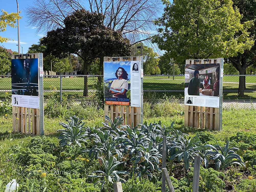 Three Art Start posters in the garden.