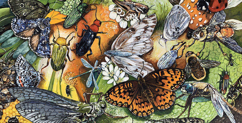 Detail of a painting of insects by Kristin Gjerdset