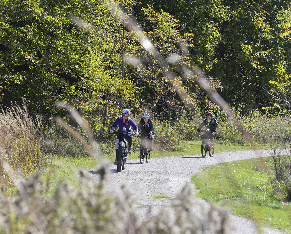 Cyclists share the trail.