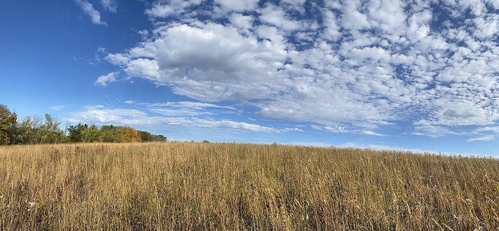 Hilltop prairie panorama.