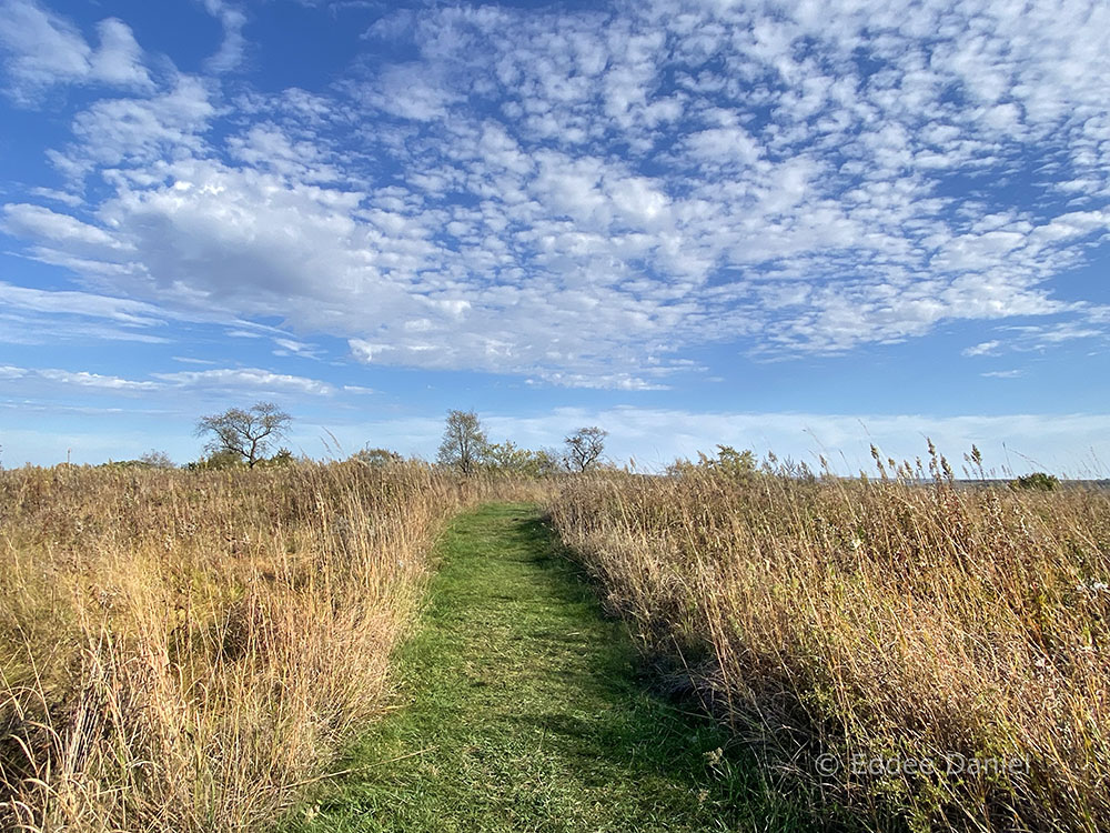 Prairie path under a receding sky.