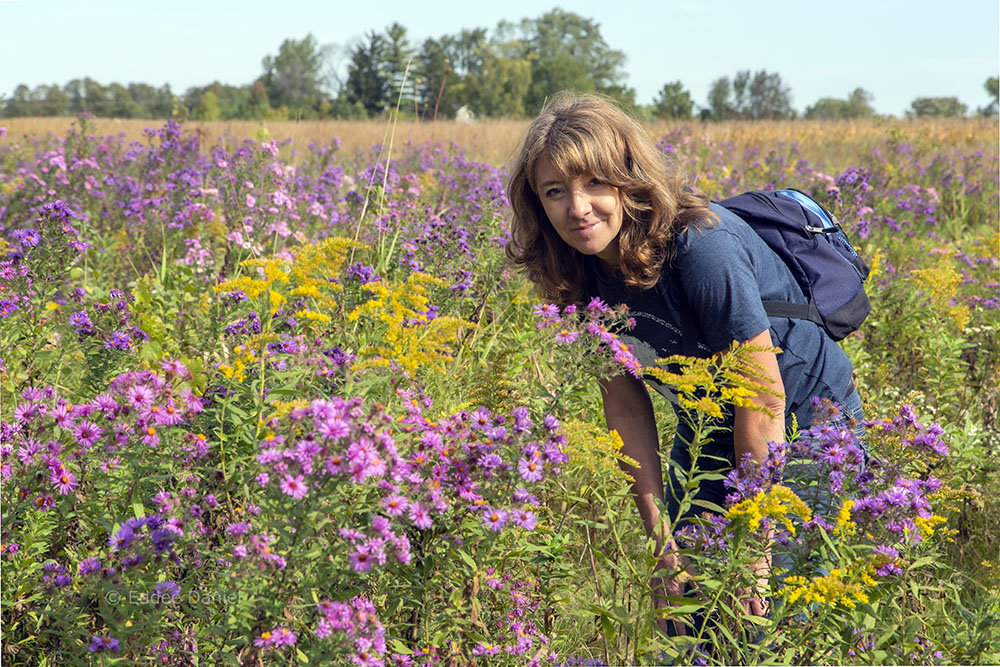 The artist amongst prairie wildflowers at Mequon Nature Preserve. 