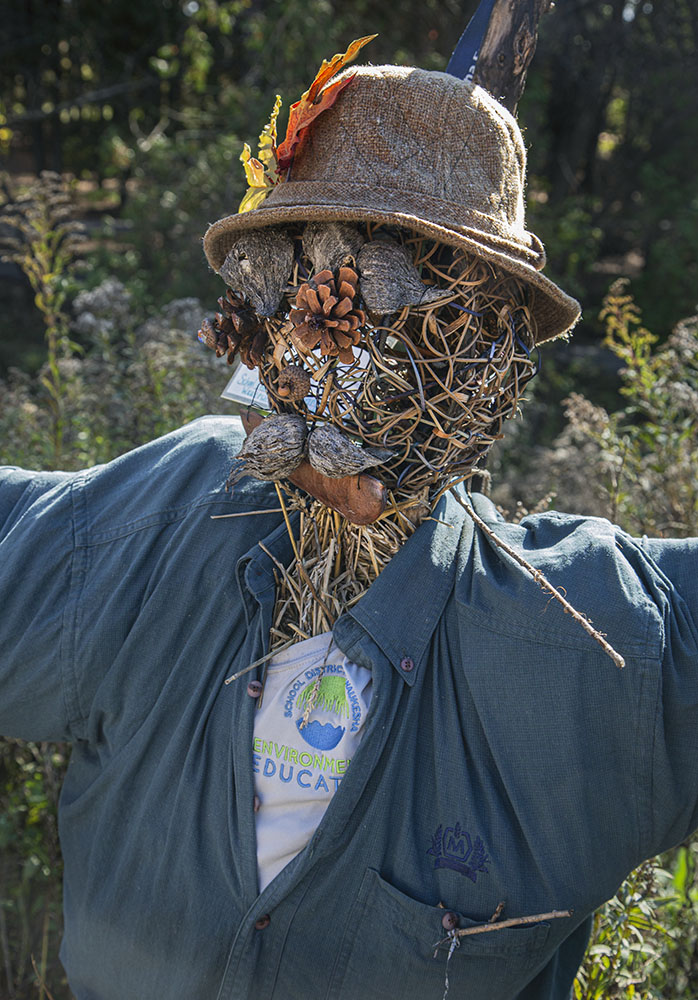 Mr. Ed - Ucation scarecrow (detail).