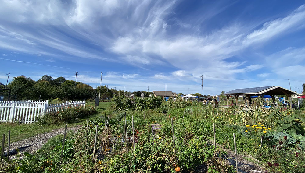 Alice's Garden Urban Farm