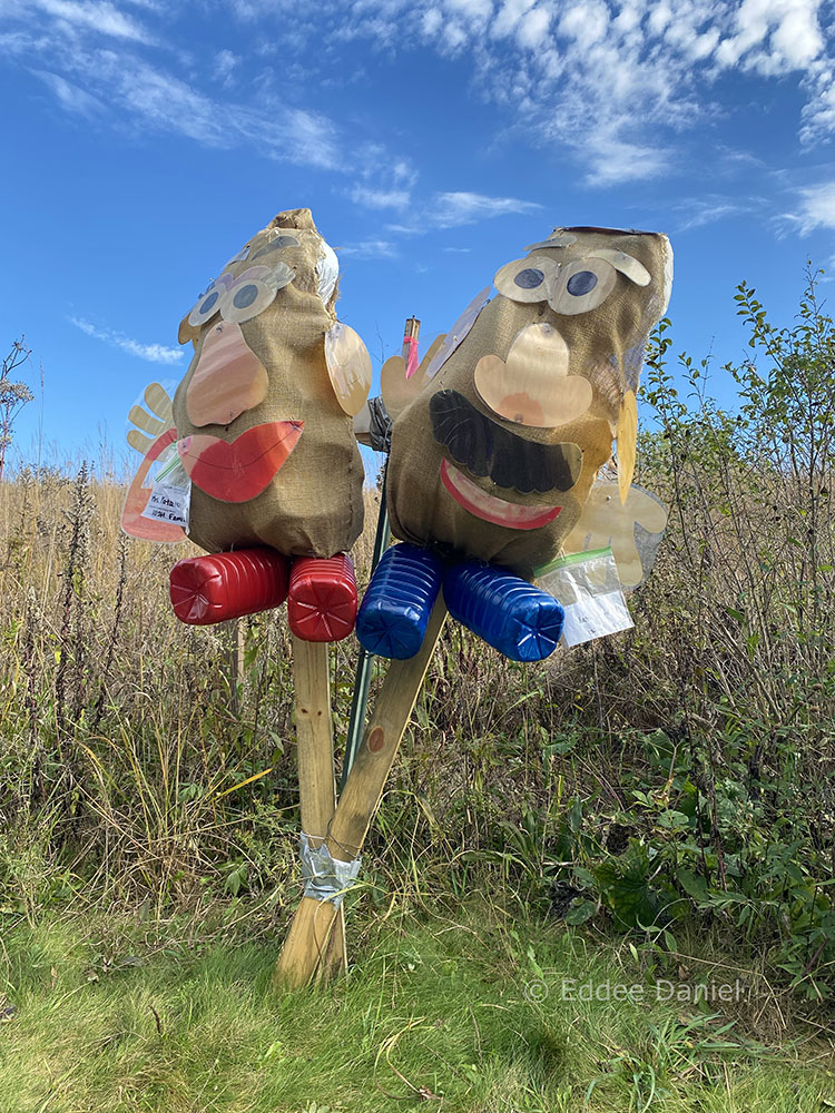 Mr. and Mrs. Potato Head Scarecrows.