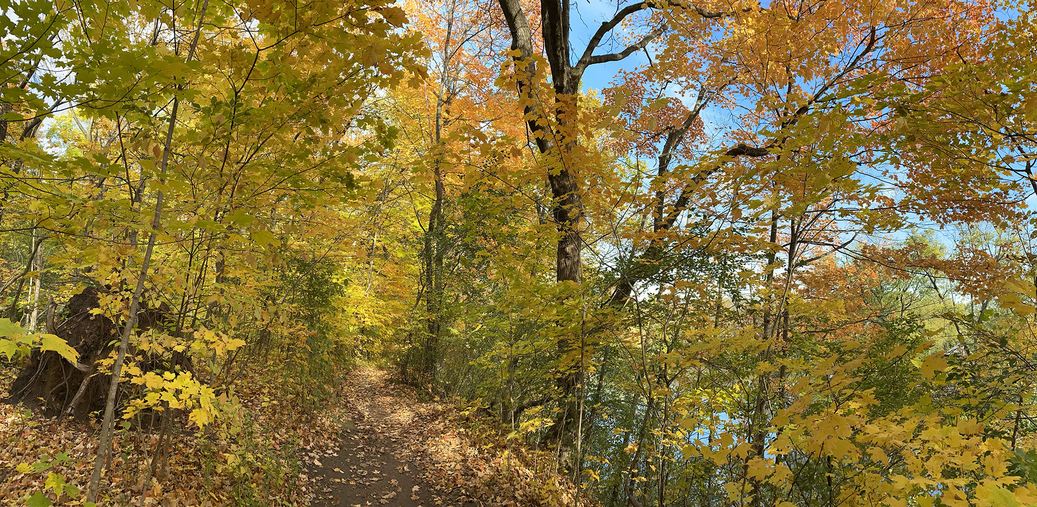 Autumn panorama in Kletzsch Park