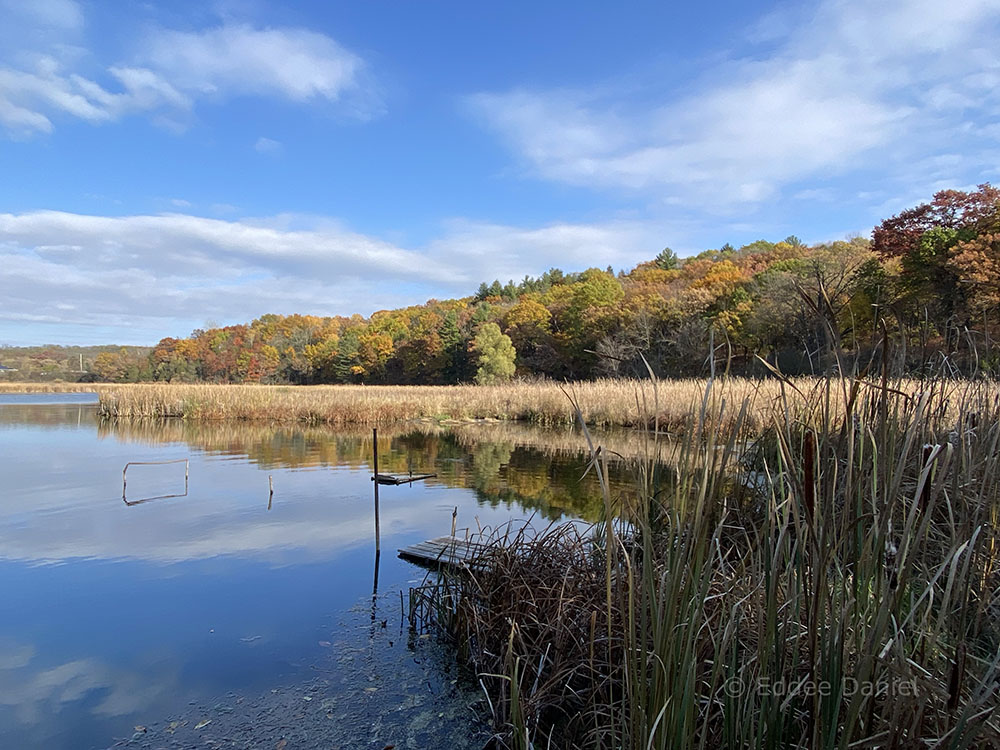 Frog Hollow, a preserve owned and managed by Waukesha County Land Conservancy, is wedged between Lake Nagawicka and I-94. The entrance is hard to find and there is only a short developed trail along one side of the property. However, it is beautiful and easily seen from the Lake Country Recreation Trail, which runs along another side.